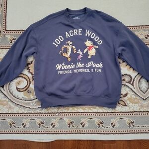 Disney Blue Winnie the Pooh Sweater